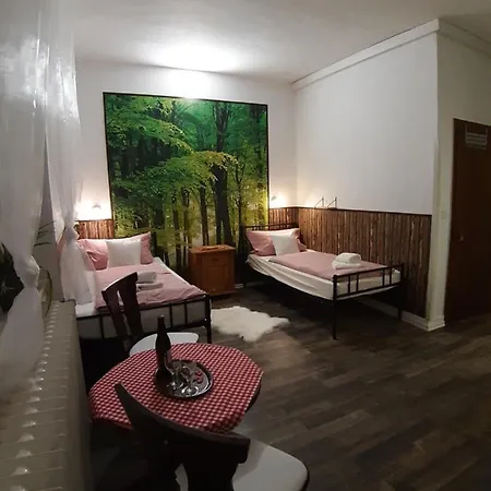 Guest house Harzbikerharz *