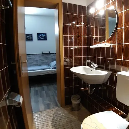 Harzbikerharz Guest house *